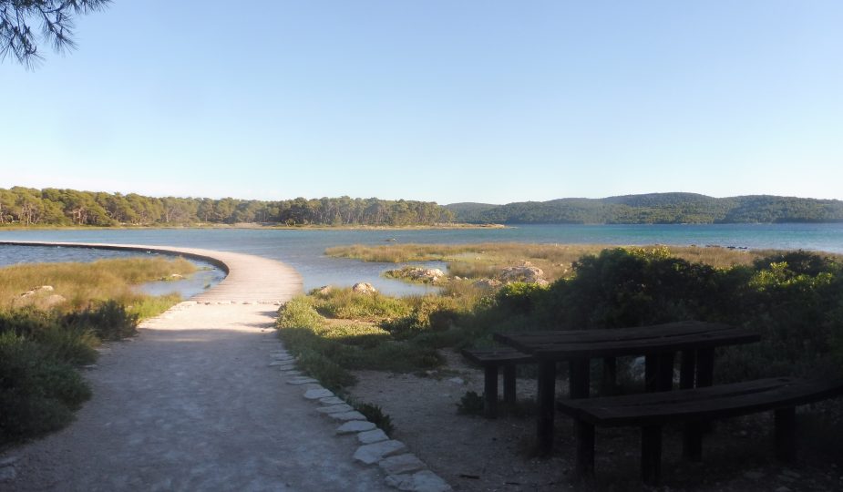 Créez un pont entre votre coeur et votre esprit